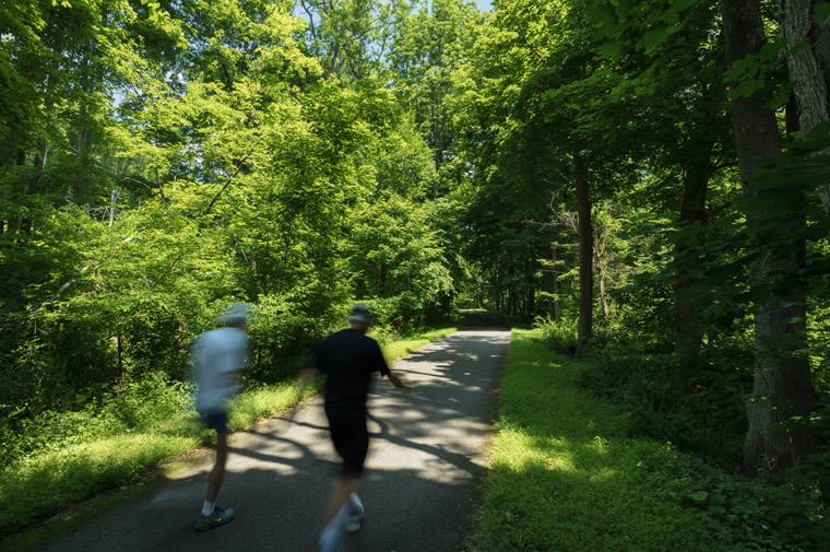 trail walkers in somers