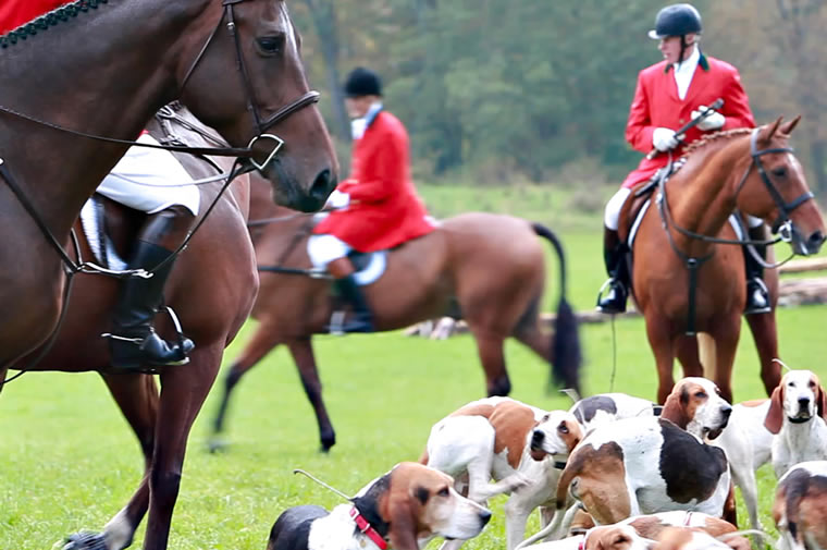 millbrook hunt