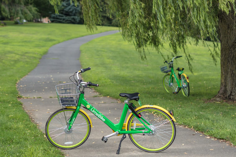 limebike share in harrison