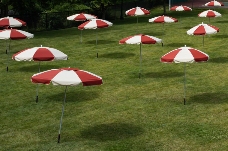 umbrellas in field