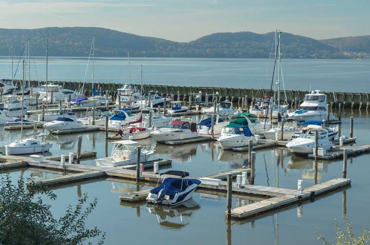 croton marina