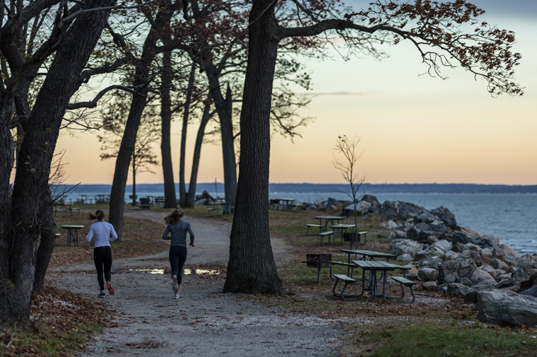 joggers at greenwich point