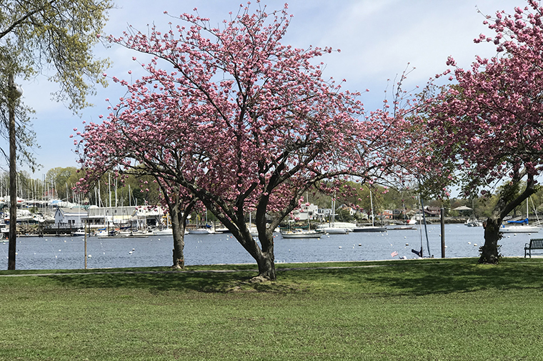 harbor island park